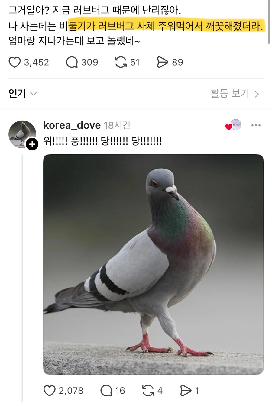 간만에 밥값하는 새_1.jpg