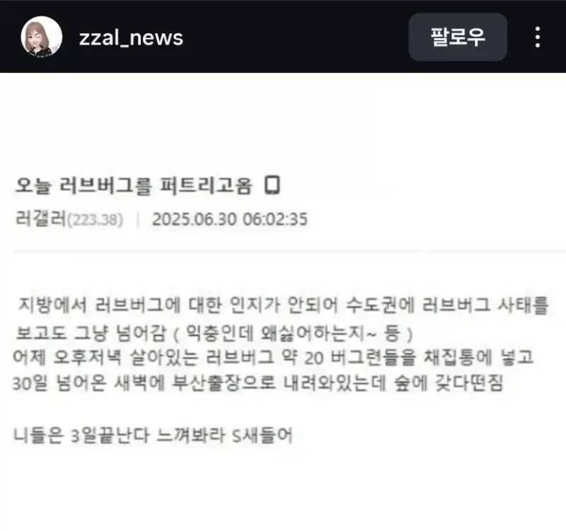 부산에 리브버그 테러한 사람.jpg_1.png