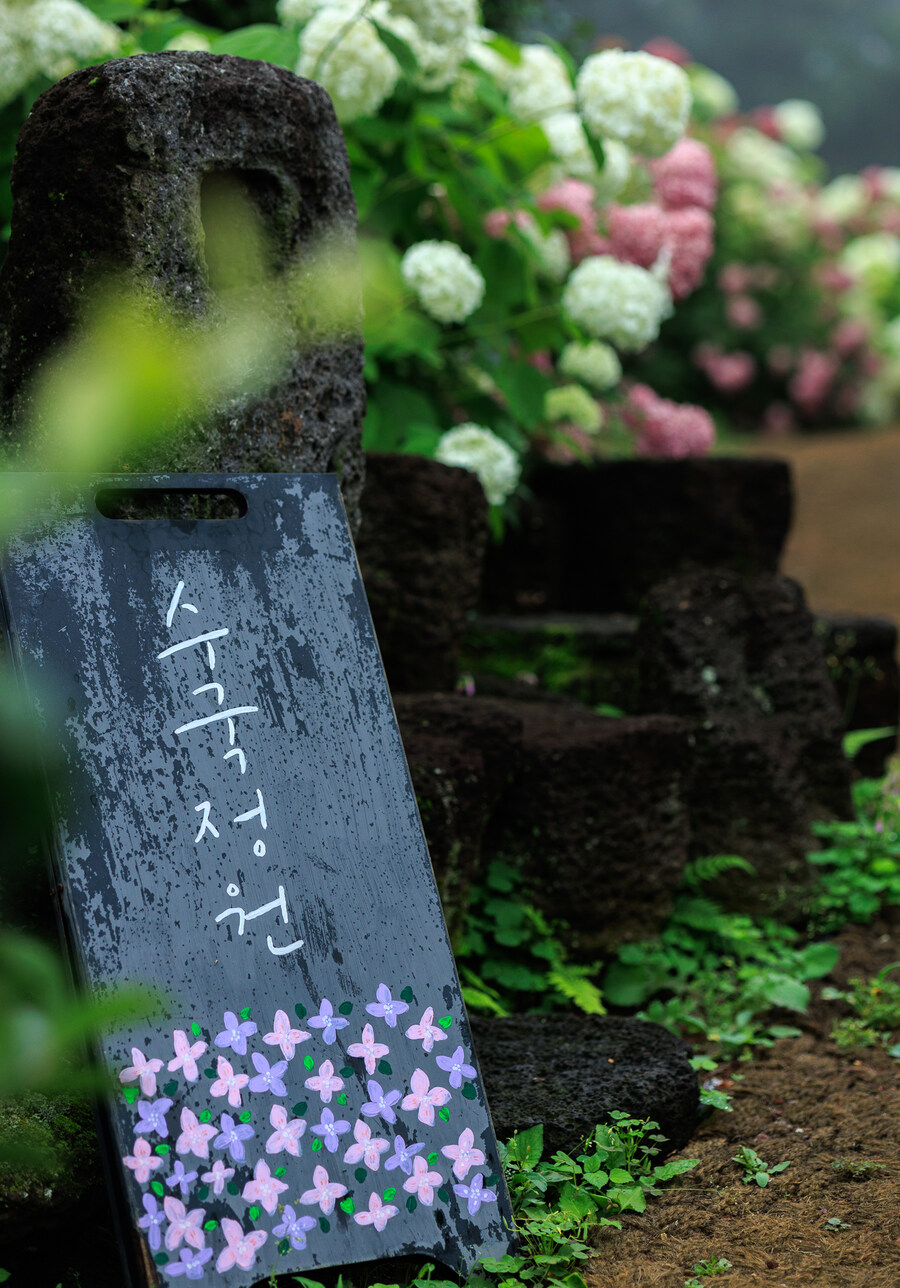 석부작 테마공원_1.jpg