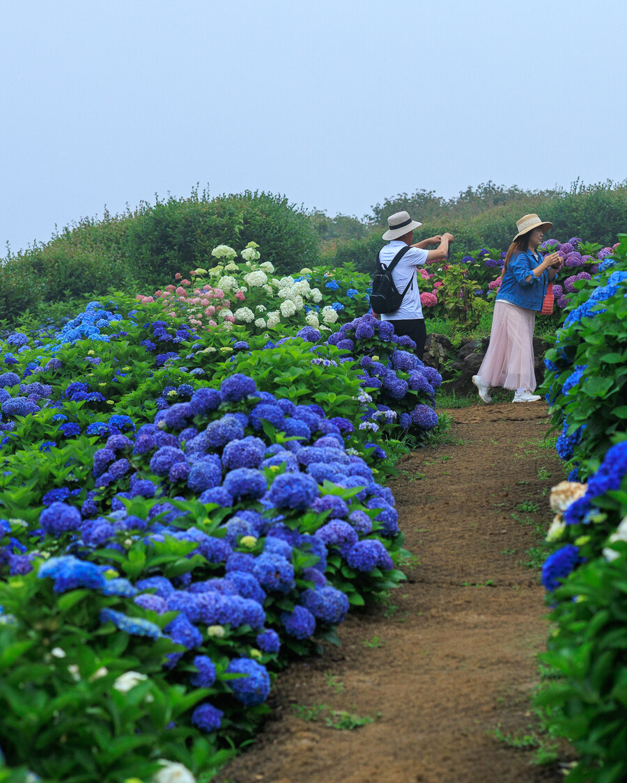 석부작 테마공원_3.jpg
