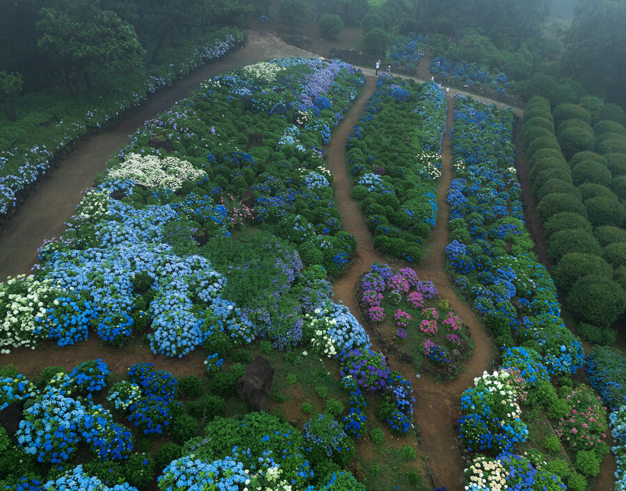 석부작 테마공원_6.jpg