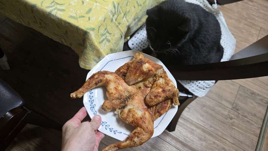 야옹이랑 먹는 에프통닭_17.jpg