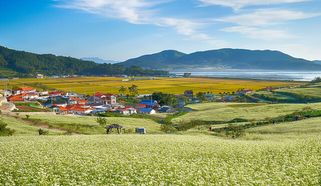 의외로 농촌 잘 모르는 사람들이 가진 고정관념_1.jpg