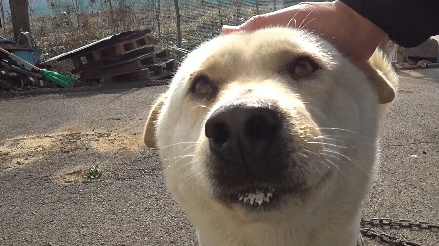 작성자 특_1.jpg