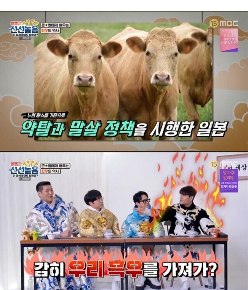 일본 와규는 사실 한국 흑우가 원조다.jpg_1.jpg