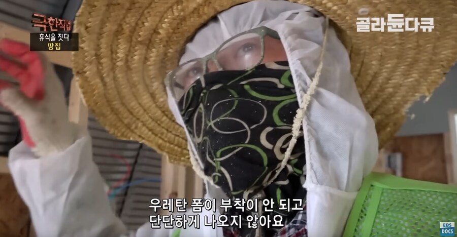 사실상 한국의 린도린도 오평파 종합 프로그램_7.png