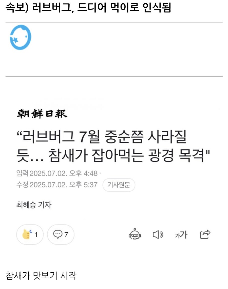 속보) 러브버그, 드디어 먹이로 인식.jpg_1.jpg