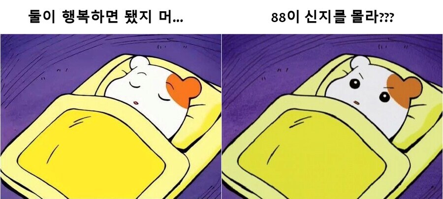 시바 자려고 했는데 신지 신랑은 뭐야 ??_1.jpg