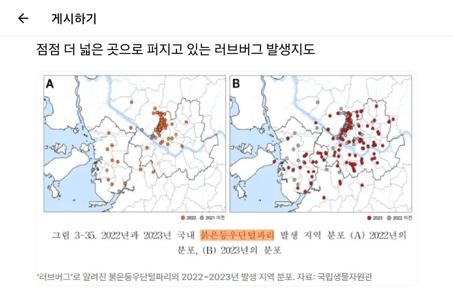 작년에 못본 러브버그 올해 봤다는 사람들이 나오는 이유_1.jpg