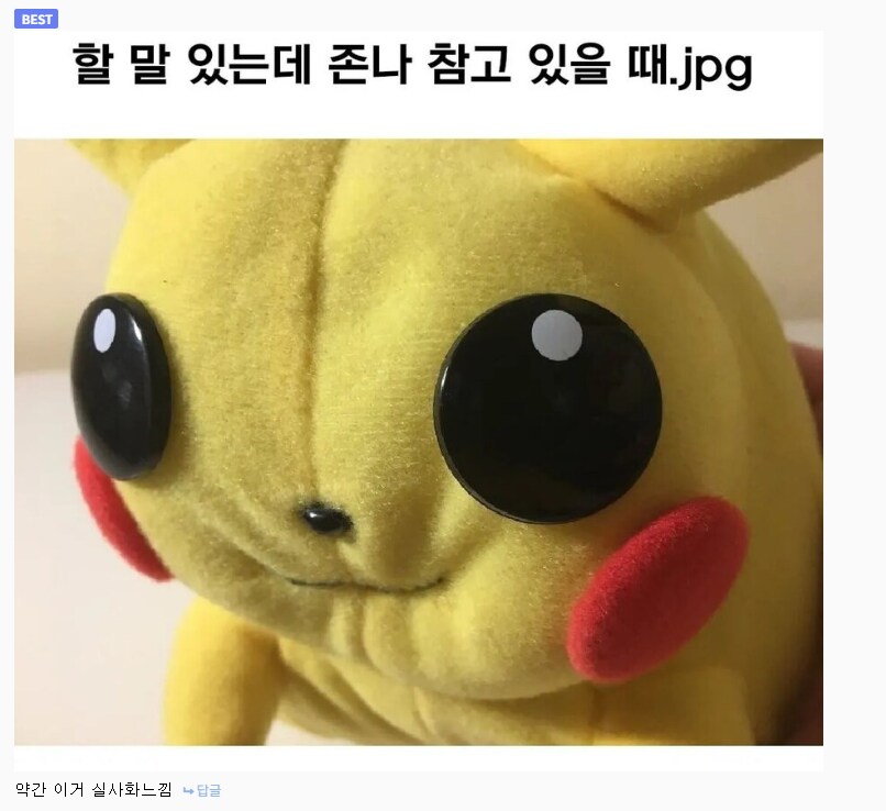 빽가 정색 표정이 이거 실사화 같다고..?_2.png