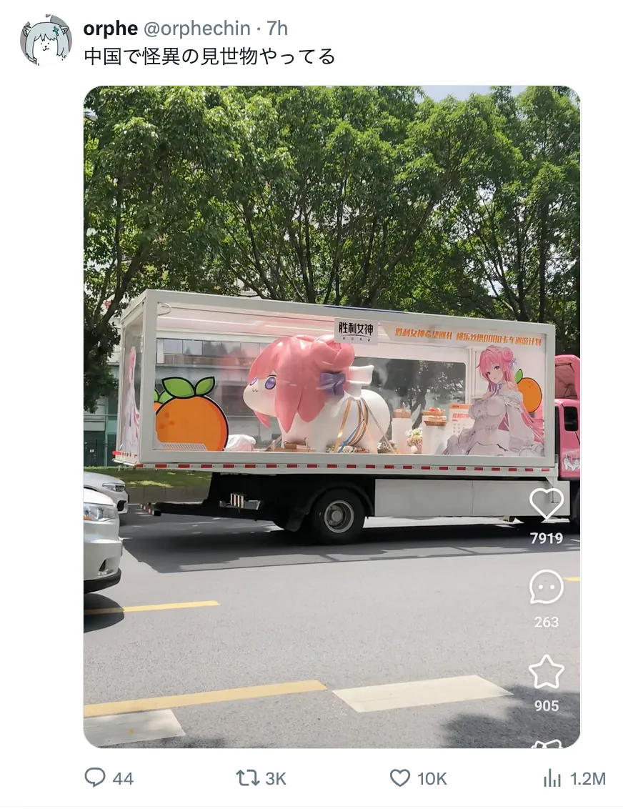 중국 도로 위에 나타난 거대한 도로롱_1.webp