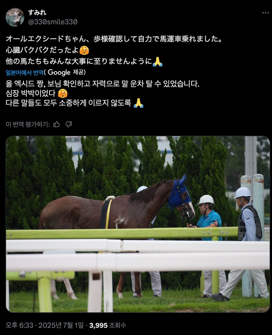 경마) / 말딸) 어제 오이 경마장에 있었던 아찔한 상황_4.png