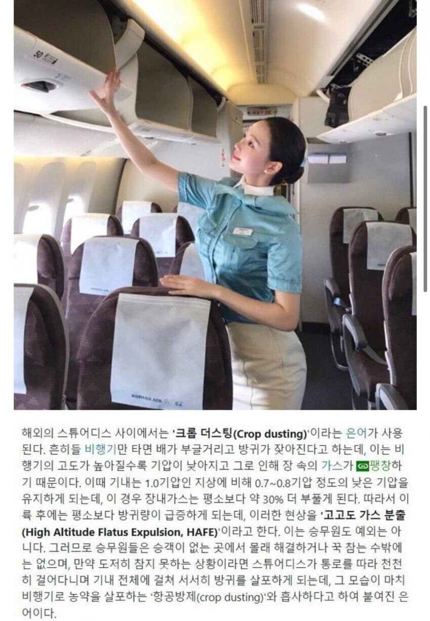 비행기에서 몰래 방귀끼기.jpg (혐주의)_1.jpg