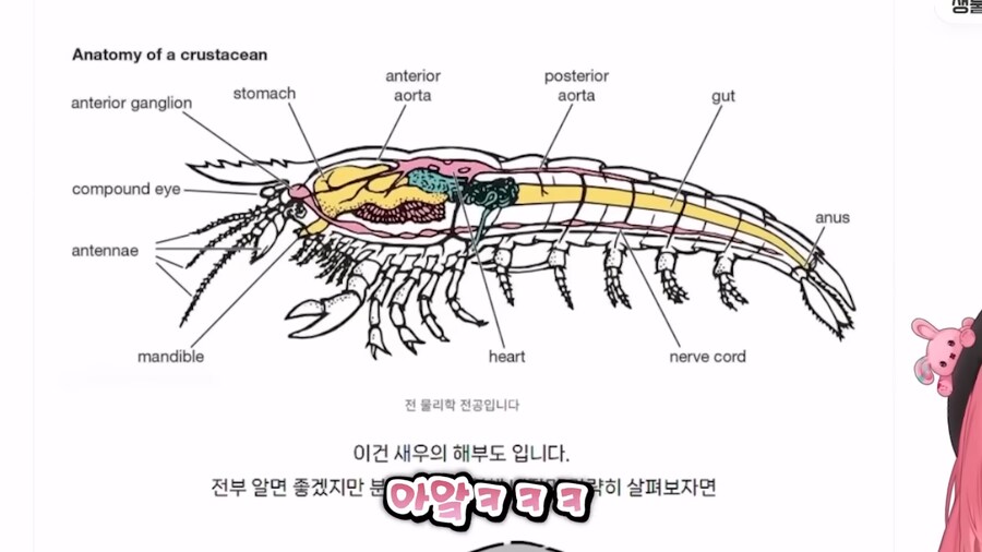 ㅇㅇㄱ)시참떡밥에 생각나는 내 오시가 밀고있는 시참컨텐츠_16.png
