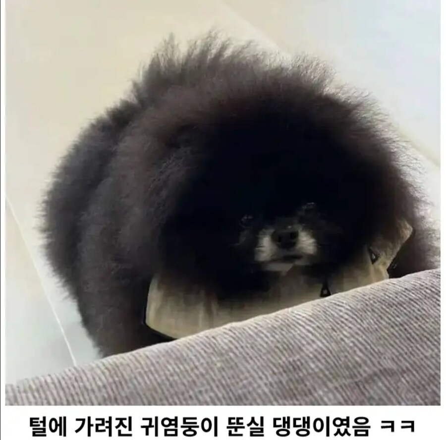 화제가 된 외눈박이 생명체.jpg_2.jpg