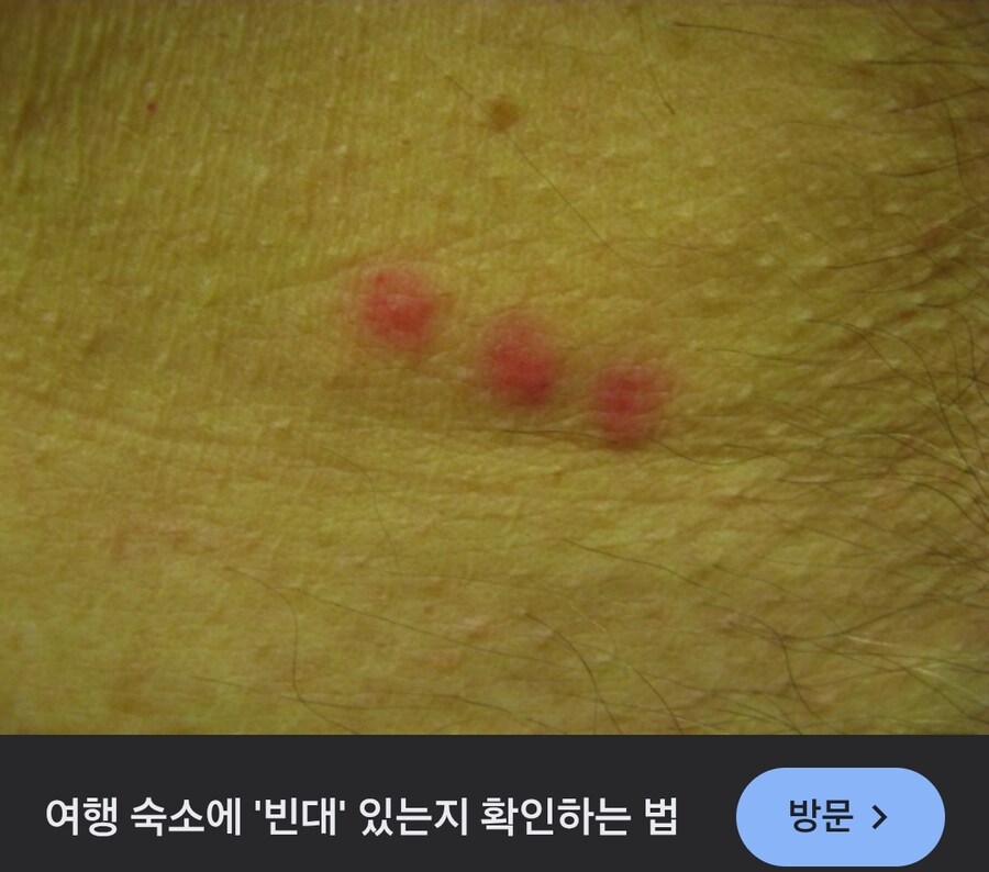 이거 진짜임?_2.jpg