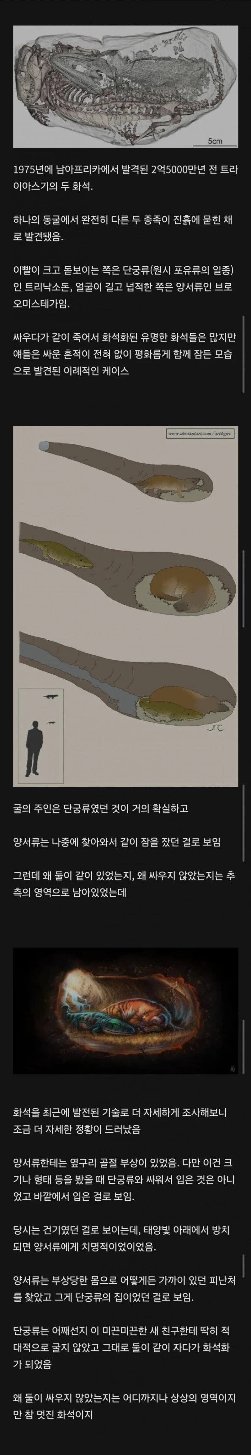 존나 감성있는 화석 이야기.jpg_1.jpg