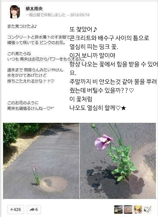 콘크리트를 뚫고 피어난 꽃을 보며 파워를 얻어요. 기특해서 물도 줬어요~.jpg_1.jpg