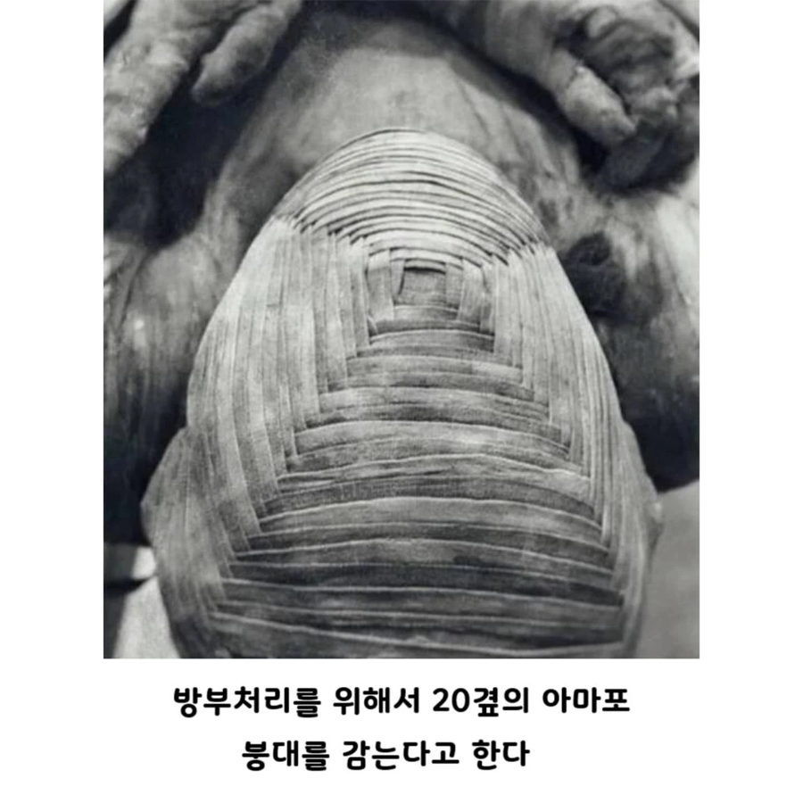 사람들이 잘 모르는 실제 이집트 미라.JPG_3.webp