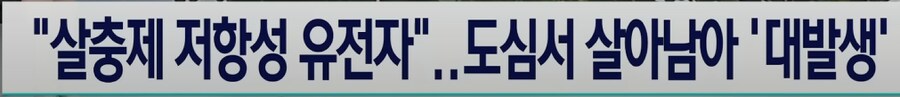 러브버그를 살충제로 죽일 수 없는 이유_3.png