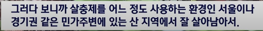 러브버그를 살충제로 죽일 수 없는 이유_5.png
