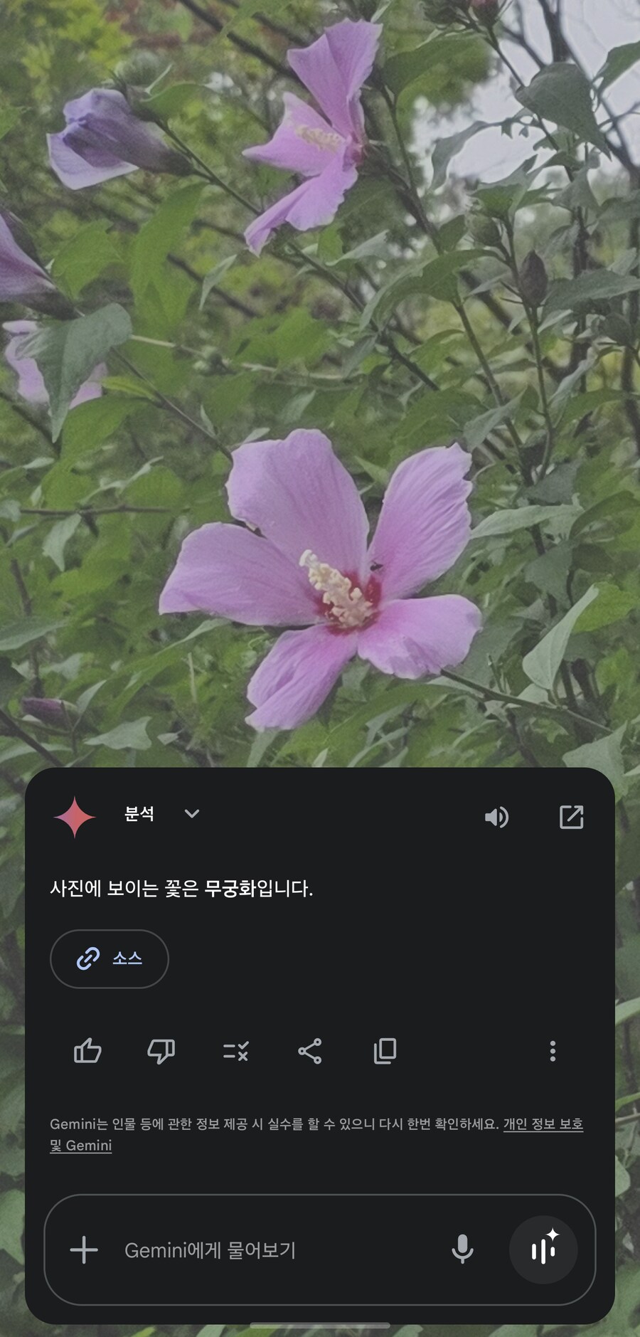 올해 처음 본 꽃_2.png