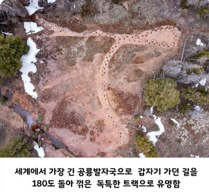 고민이 많아 보였던 공룡의 발자국.jpg_1.png
