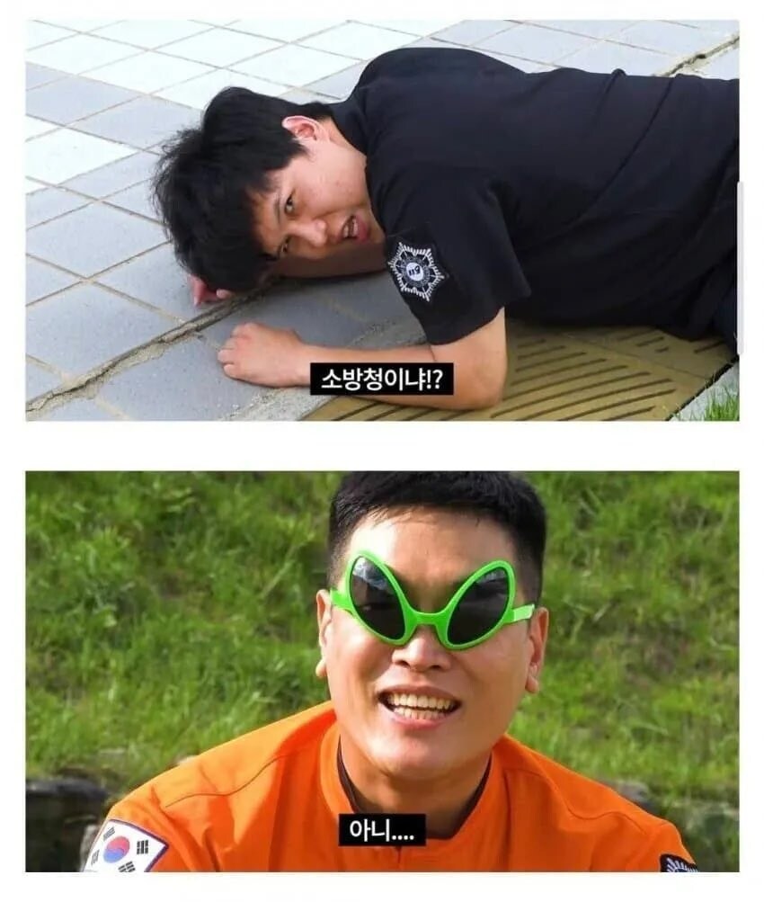 이것이 새장?_1.jpg