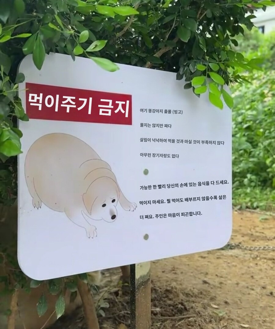 “먹이 금지”인 곳.jpg_1.jpg