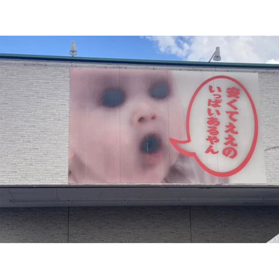 검은 부분은 햇볕을 더 잘 받아들인다.jpg_2.jpg