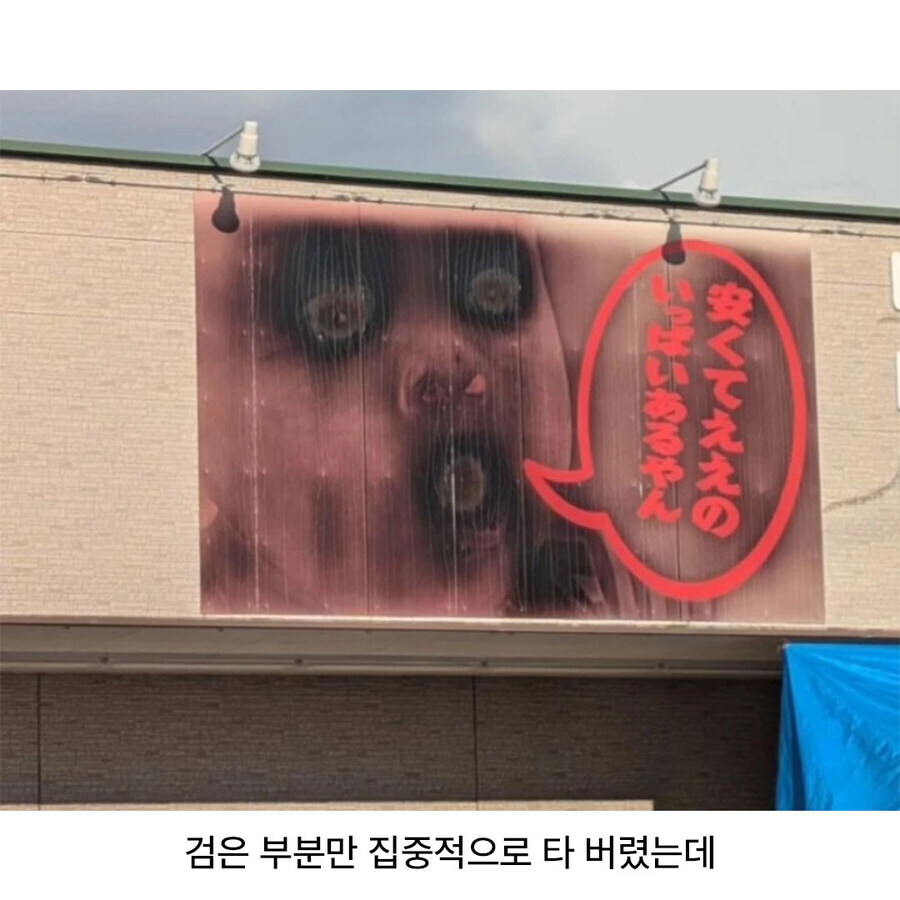 검은 부분은 햇볕을 더 잘 받아들인다.jpg_3.jpg