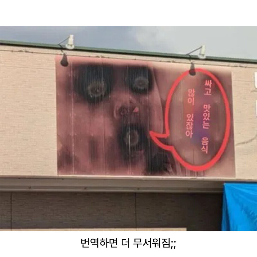 검은 부분은 햇볕을 더 잘 받아들인다.jpg_4.jpg