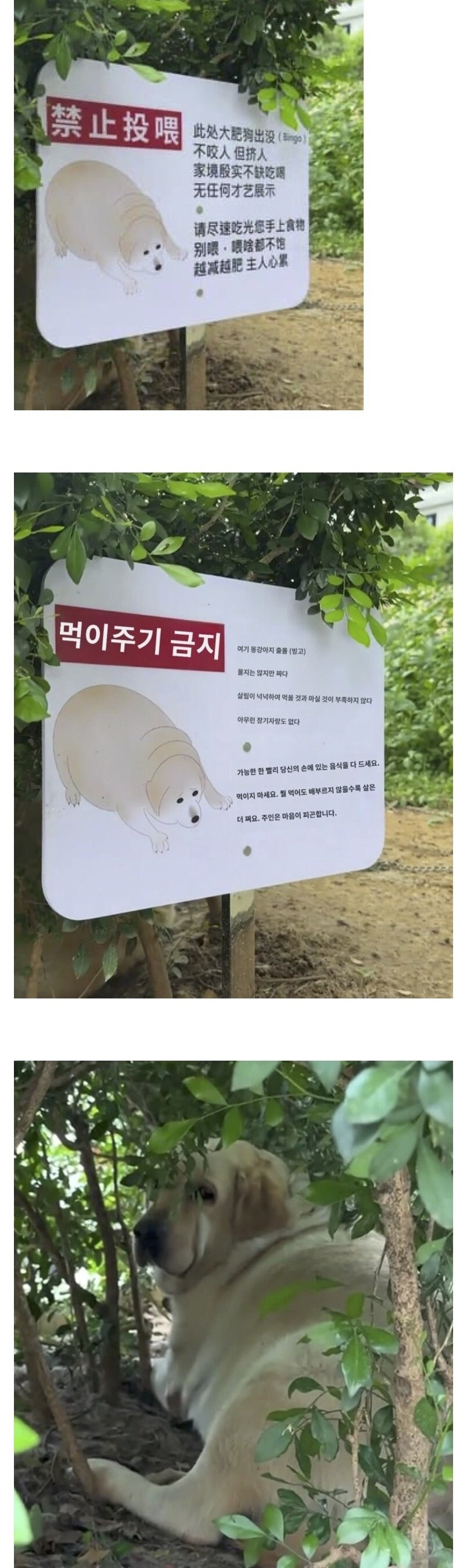 밥주지마시오.jpg_1.jpg
