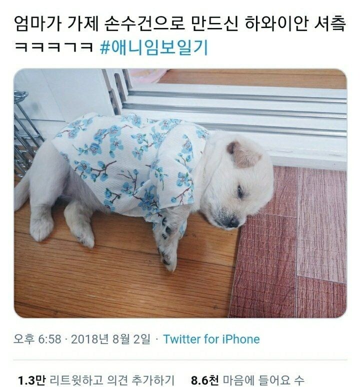 강아지 하와이안셔츠.jpg_1.jpg