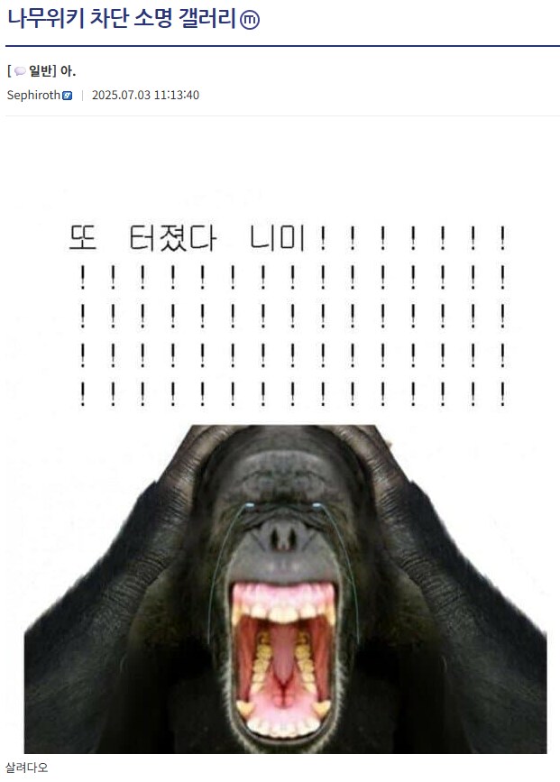ㅇㅇㄱ) 이건 또 뭐냐_1.png