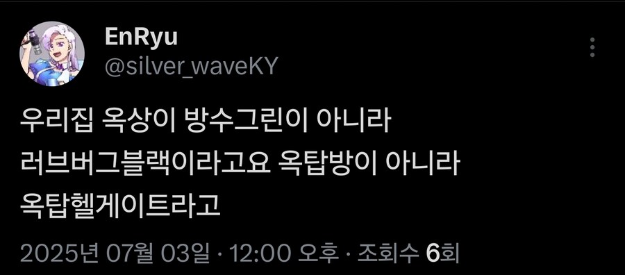 버튜버)서울사는 옥탑방 버튜버의 현장증언_1.jpg