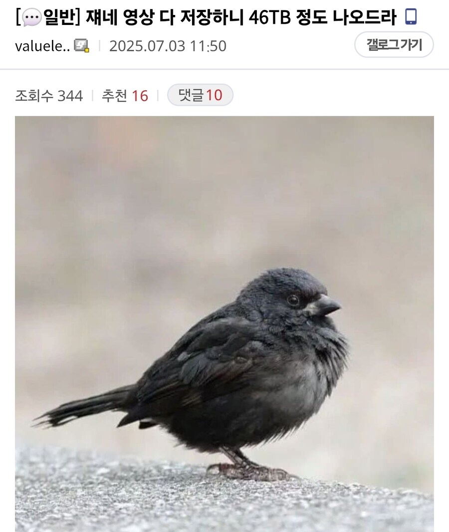 ㅇㅇㄱ) 아니 근데 영상 46테라면ㅋㅋㅋㅋㅋㅋㅋㅋㅋㅋㅋ_1.jpg