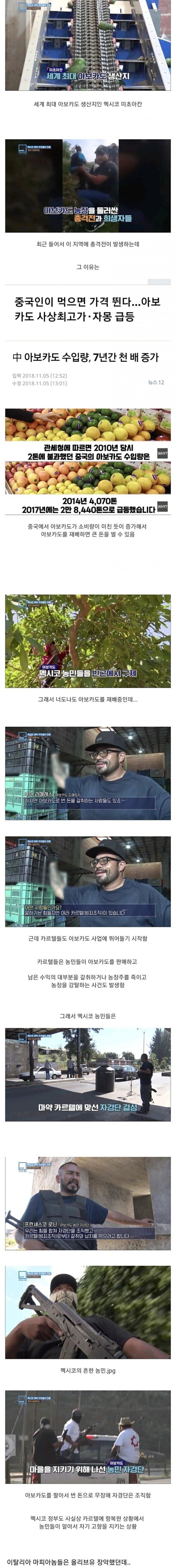 카르텔에 맞서며 이상에 불타던 멕시코 농민 자경단의 최후_1.jpg