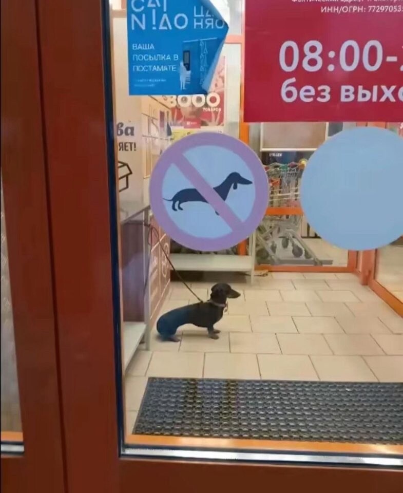 출입금지_3.jpg