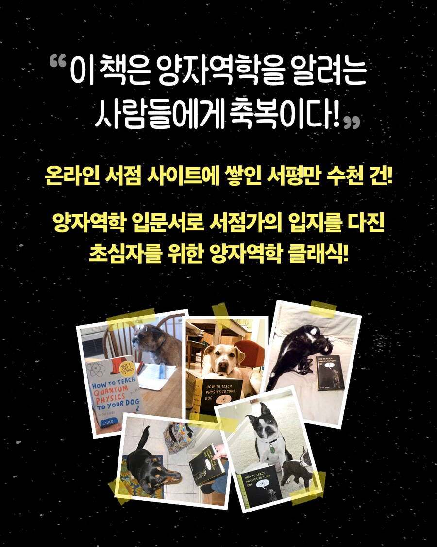 강아지 근황_4.png