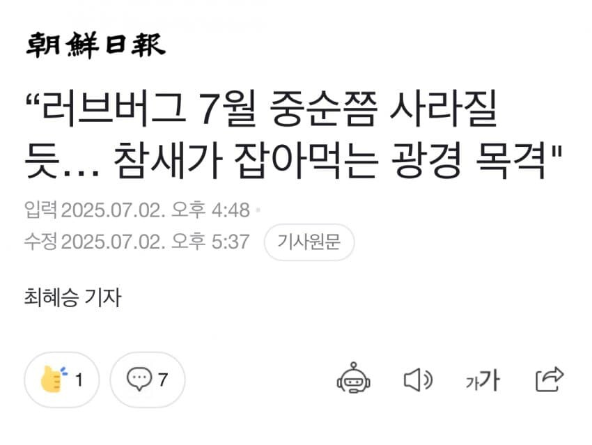 ????: 참새가 러브버그 잡아먹는다_1.jpg
