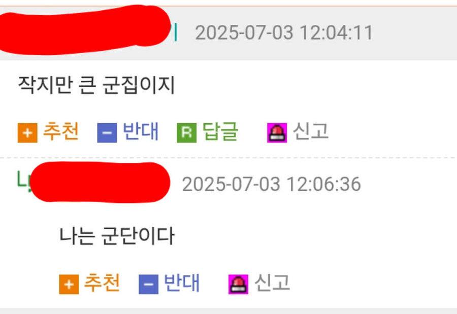 해외 K-pop 팬들에게도 알려진 러브버그 준동 사태_2.jpg