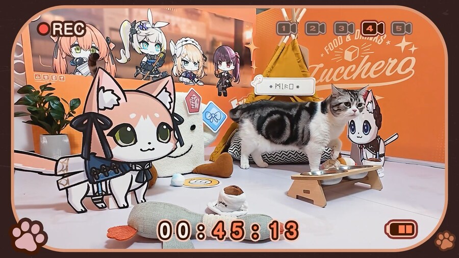 소전2) 이친구구나 진짜 소전팀이 키우는 고양이가_3.png