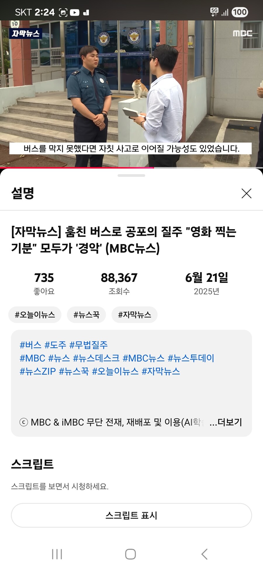 버스 기사 대신 절도해 운전하다 잡힌 용의자(특별출연 치즈냥이)_4.jpg