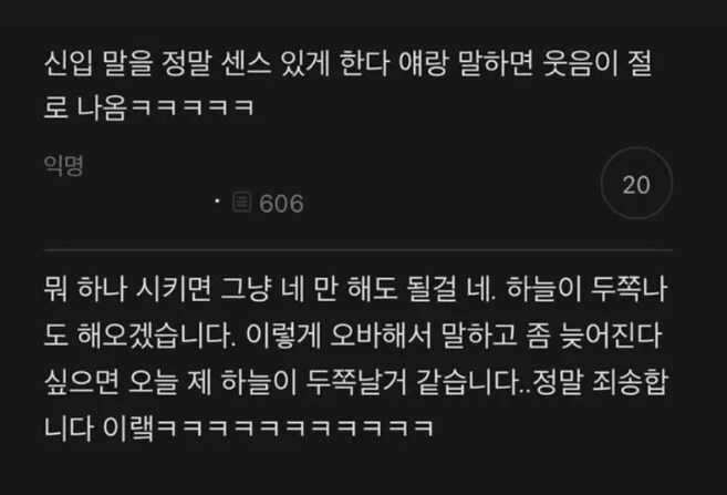 신입 말을 정말 센스 있게 한다.....JPG_1.png
