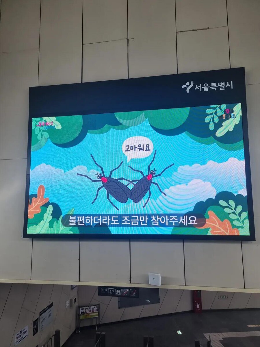 서울사람들이 당하고 있는 가스라이팅_1.jpg