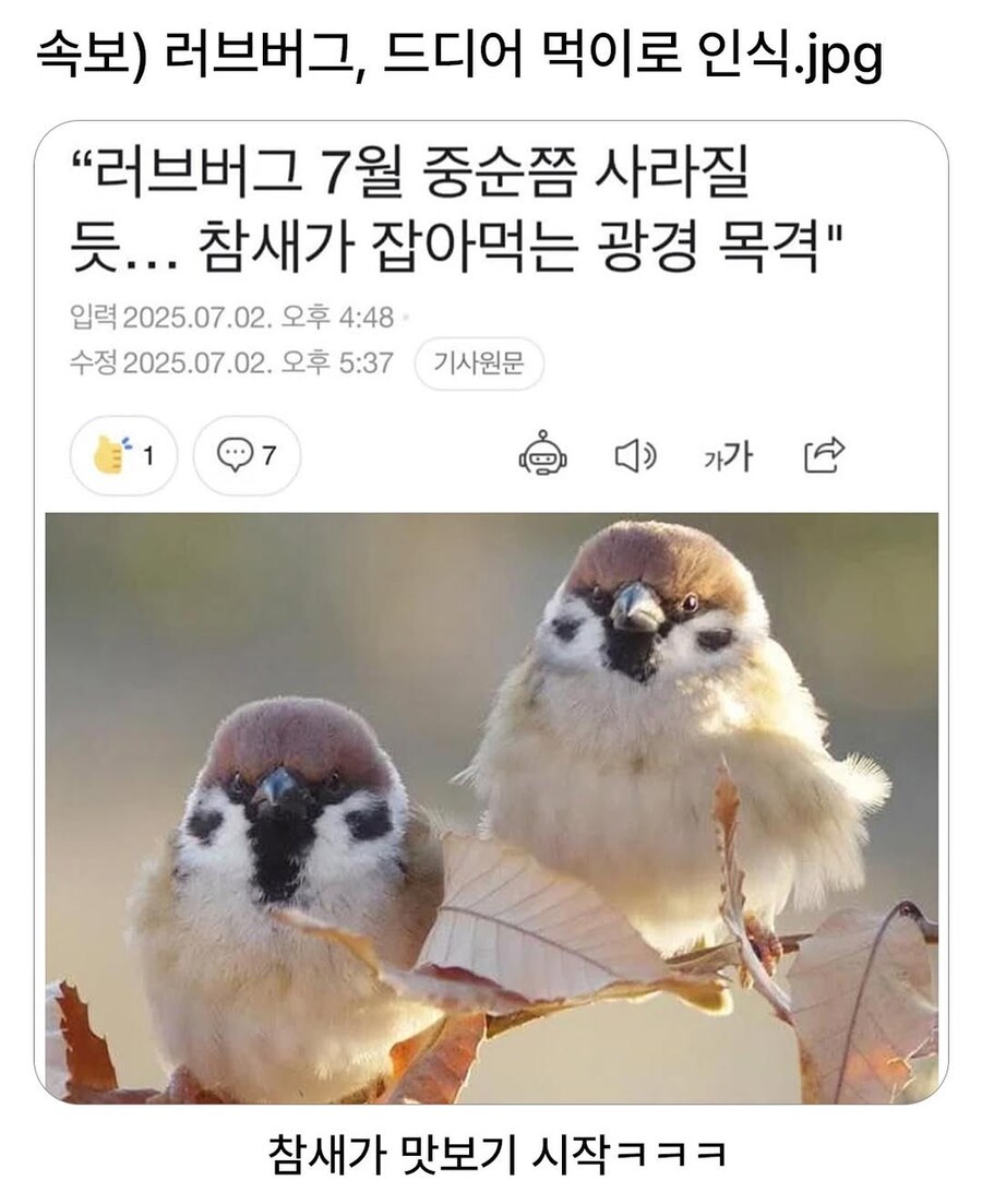 러브버그.. 제가 한번 먹어보겠습니다._1.jpg