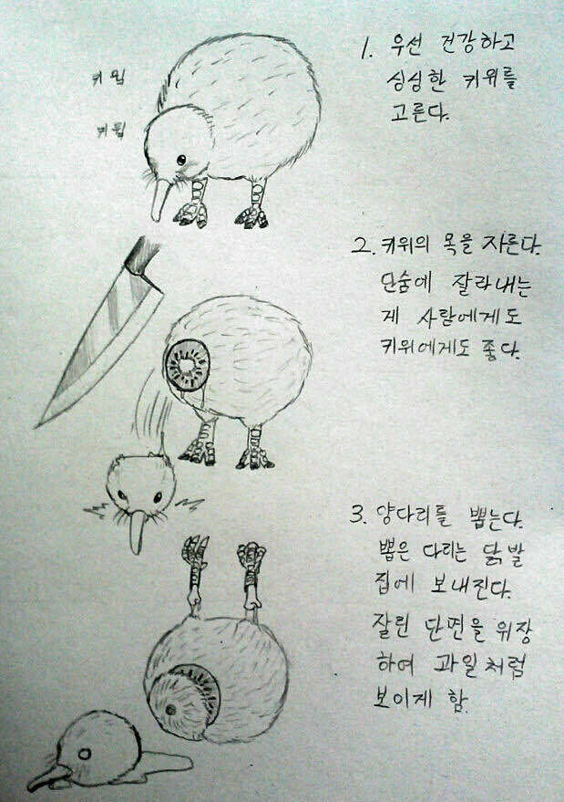 키위의 진실_1.jpg
