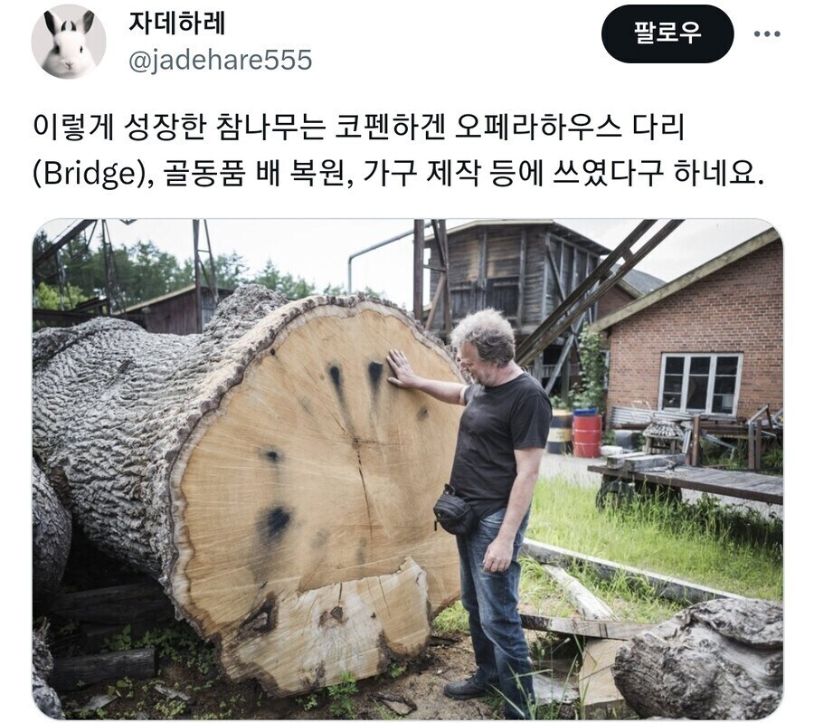 "폐하! 전함용 목재가 준비되었나이다!"_2.jpg