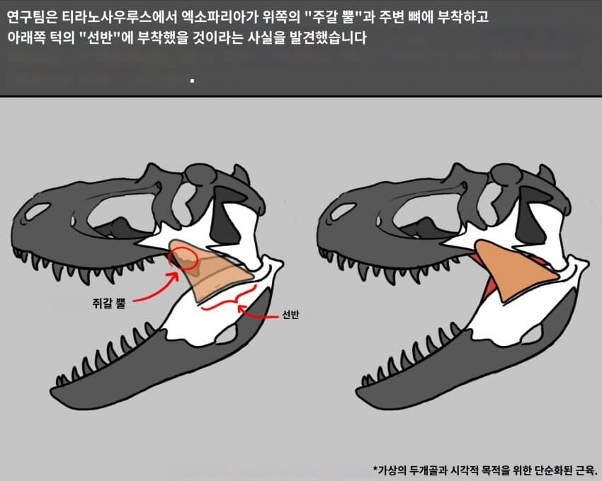 공룡)최근 발표된 논문의 엑소파리아 이야기_5.jpg